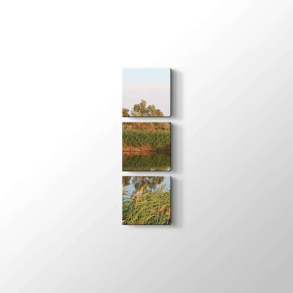 Sazlık Kanvas Tablo