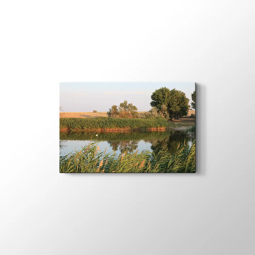 Sazlık Kanvas Tablo