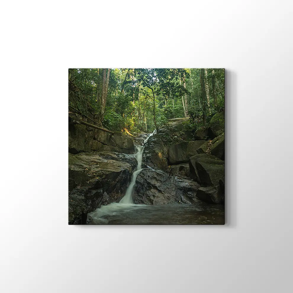 Te Kala Güz Malezya Kanvas Tablo