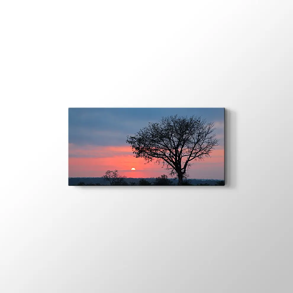 Gündoğumunda Savana Ağacı Kanvas Tablo