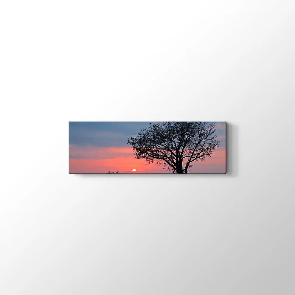Gündoğumunda Savana Ağacı Kanvas Tablo