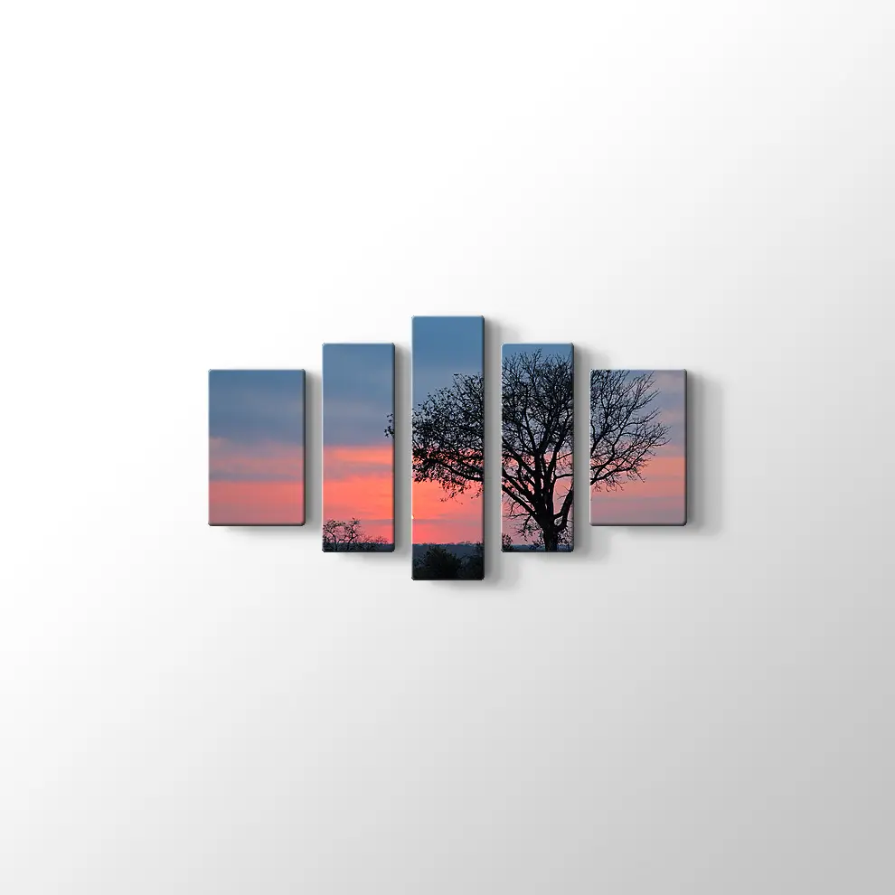 Gündoğumunda Savana Ağacı Kanvas Tablo