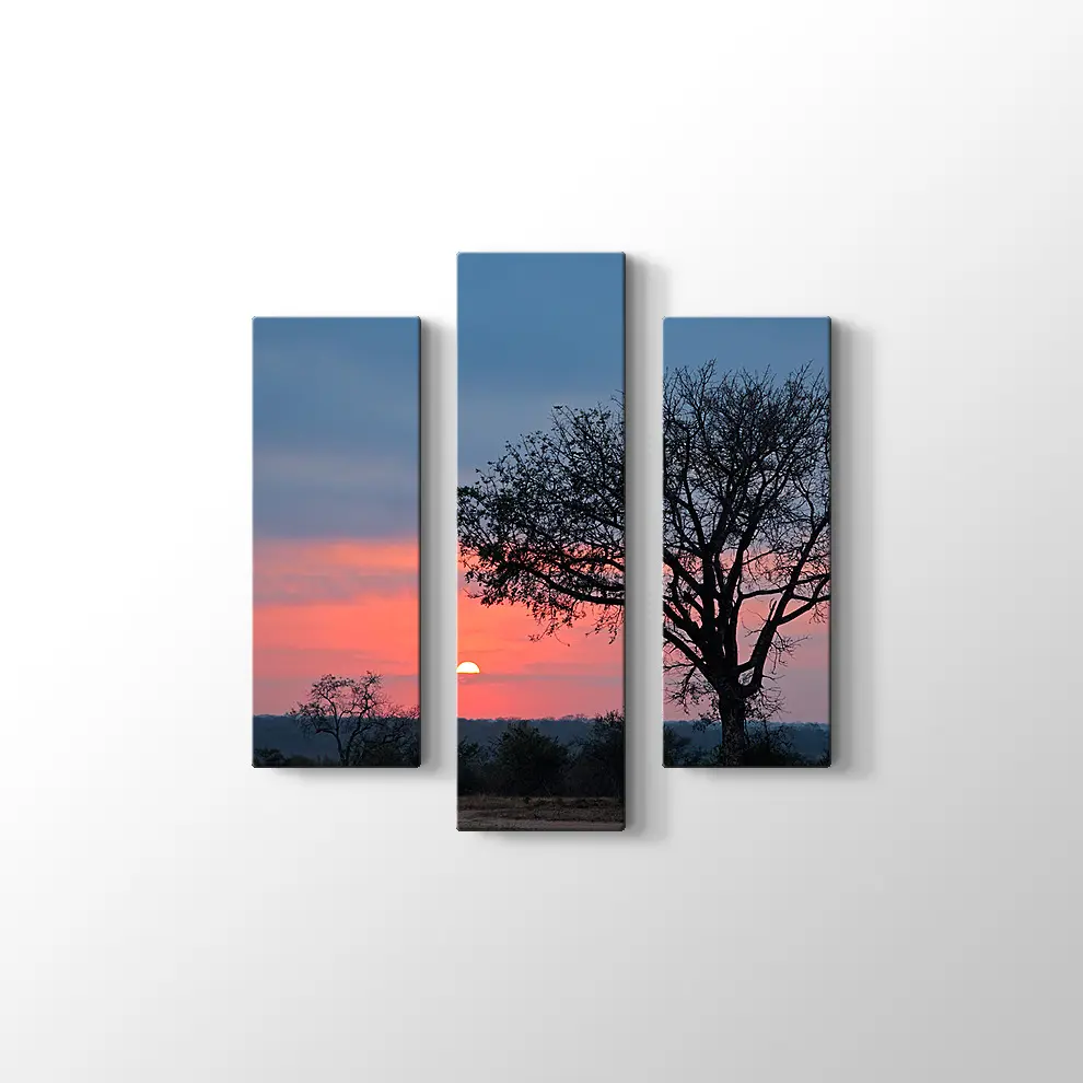 Gündoğumunda Savana Ağacı Kanvas Tablo