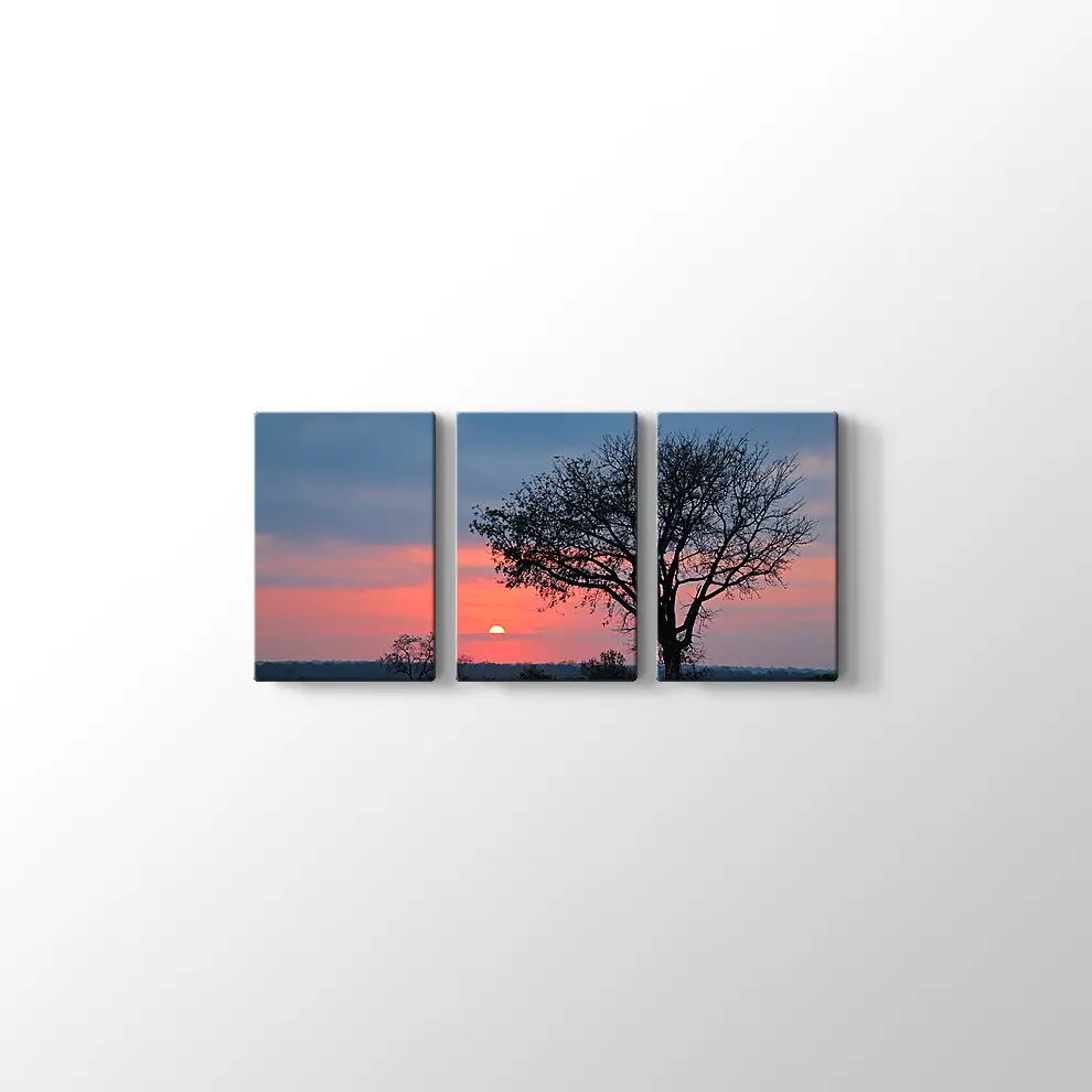 Gündoğumunda Savana Ağacı Kanvas Tablo