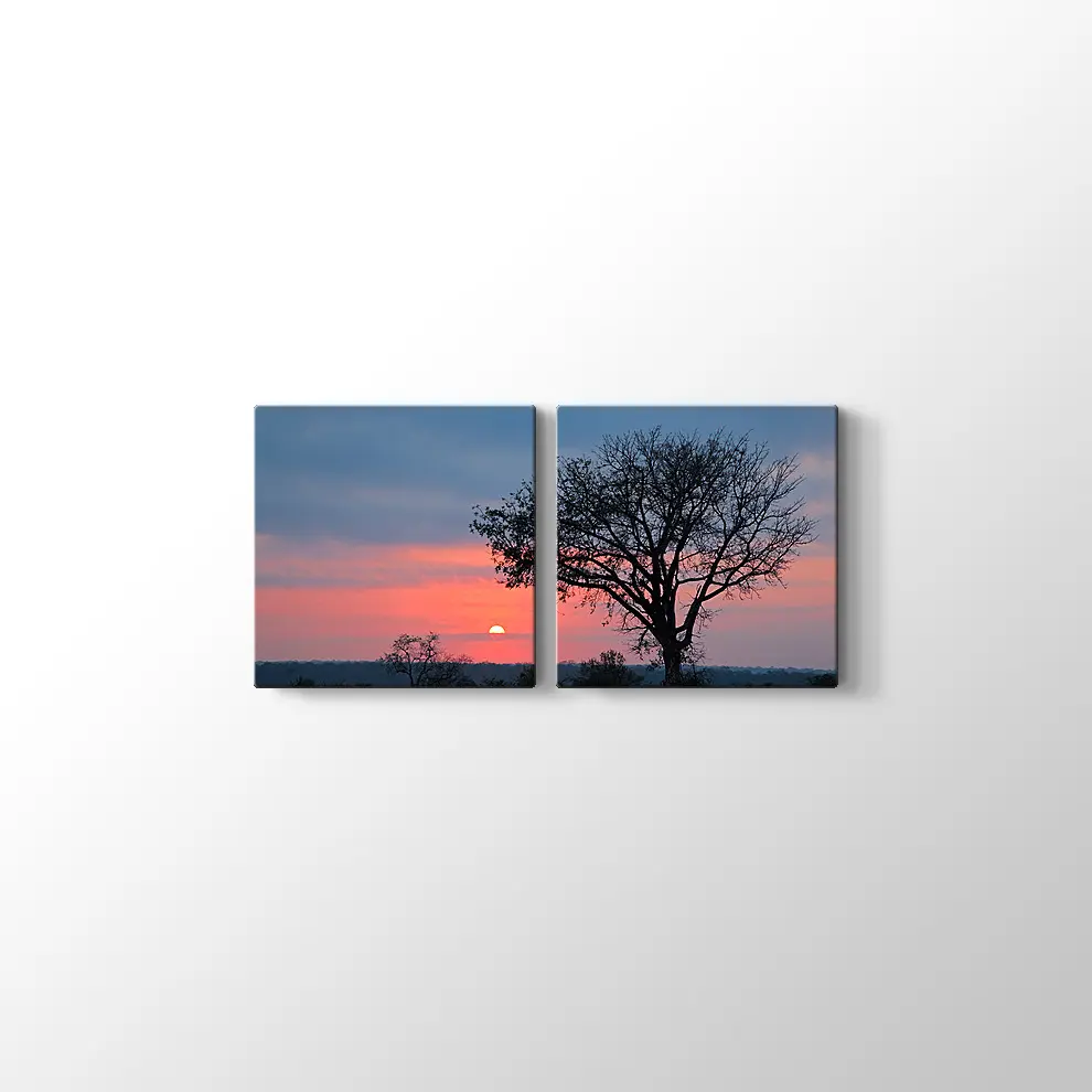 Gündoğumunda Savana Ağacı Kanvas Tablo