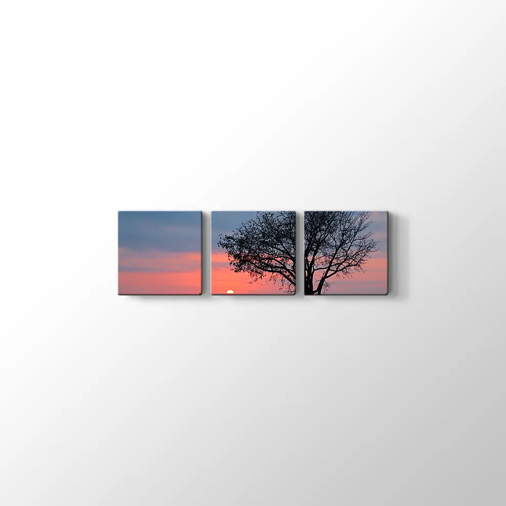 Gündoğumunda Savana Ağacı Kanvas Tablo