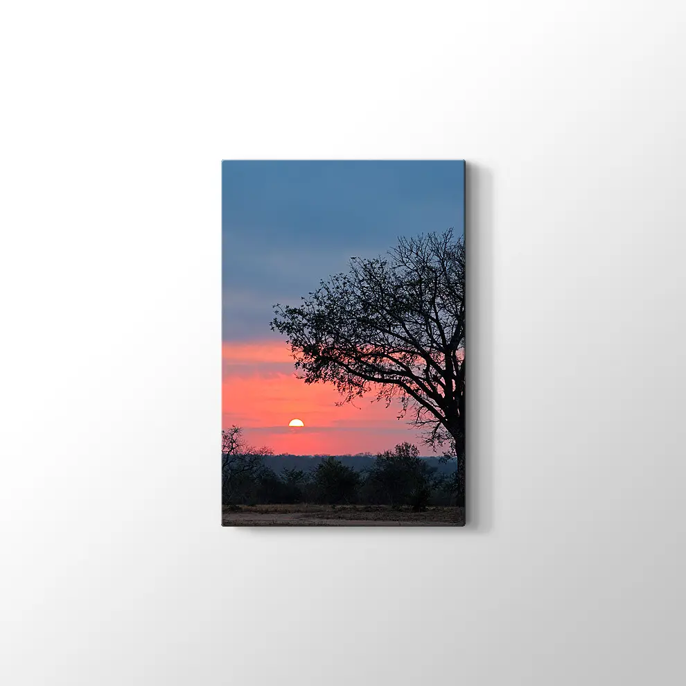 Gündoğumunda Savana Ağacı Kanvas Tablo
