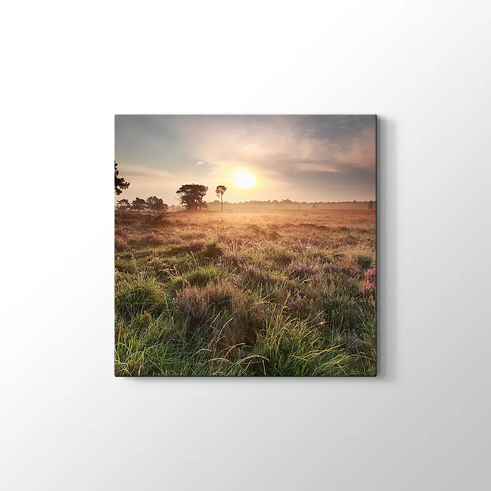 Hollanda Gün Doğumu