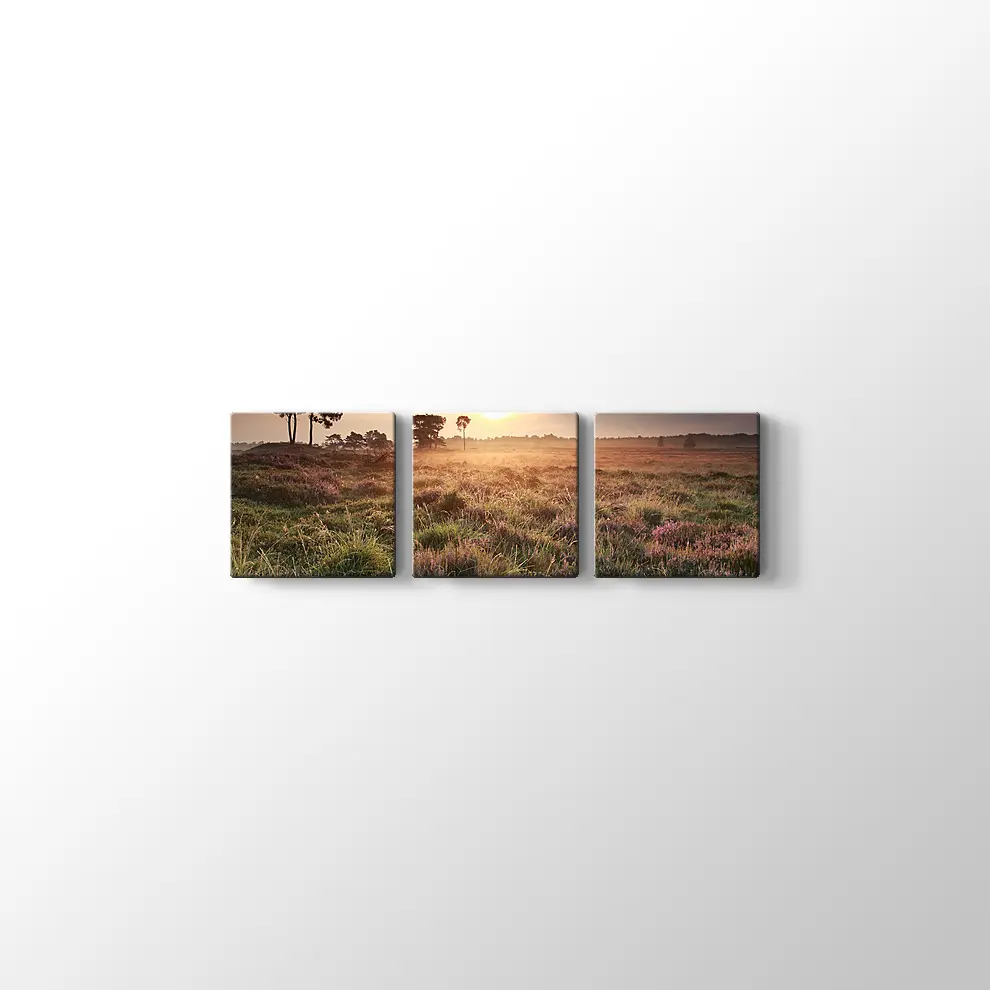 Hollanda Gün Doğumu