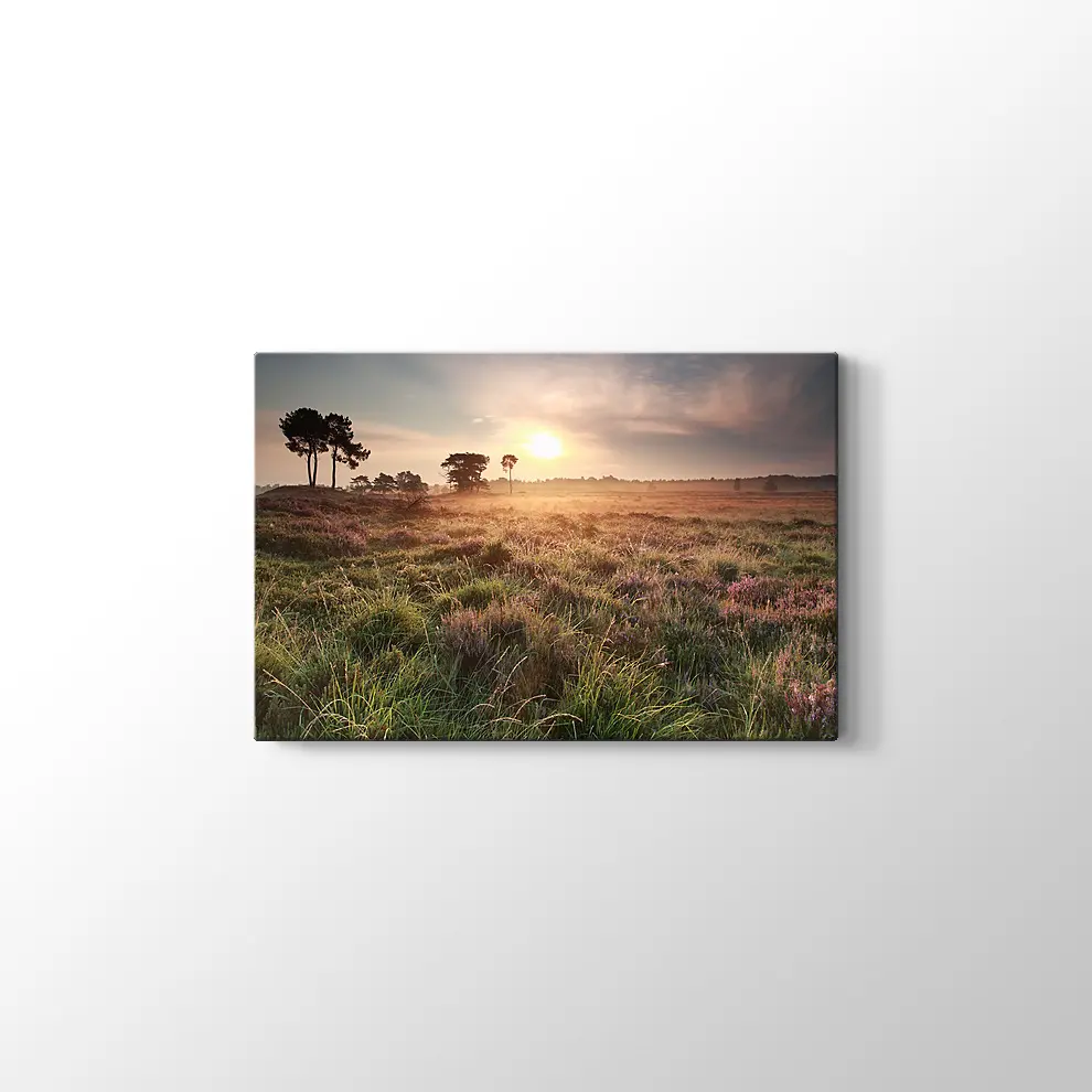 Hollanda Gün Doğumu