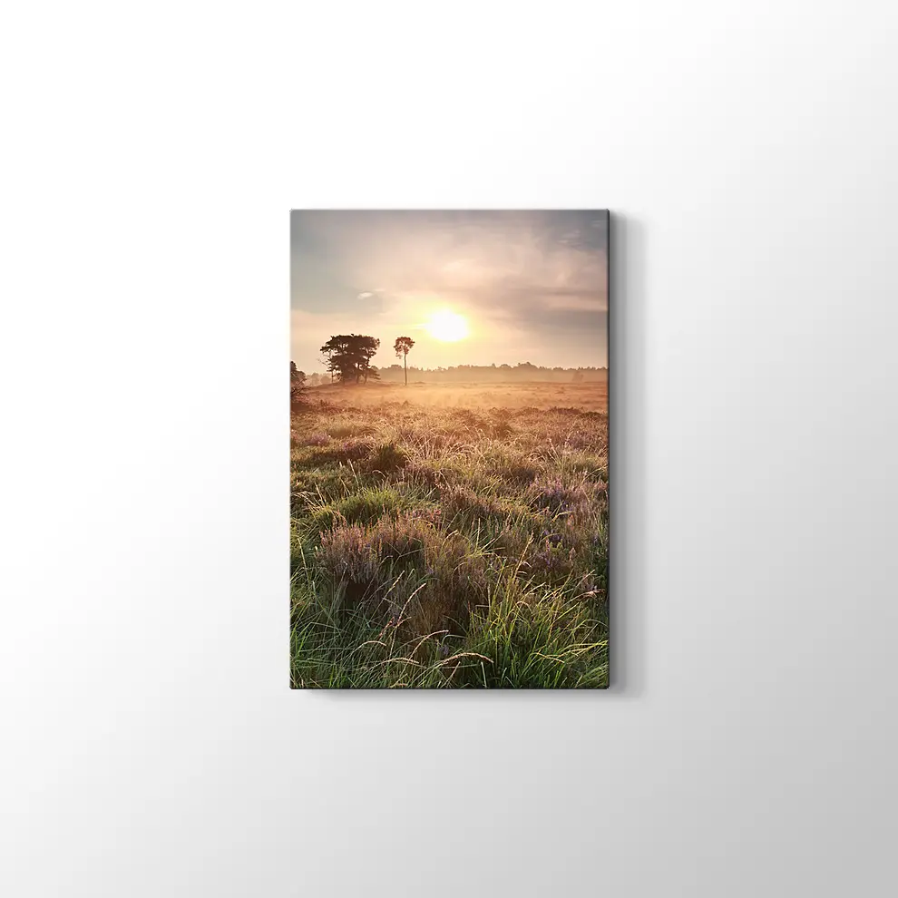 Hollanda Gün Doğumu