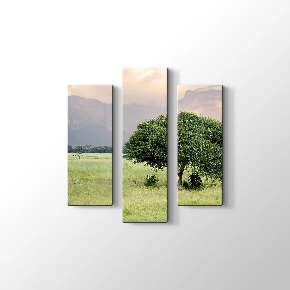 Bebek Akasya Ağacı Kanvas Tablo