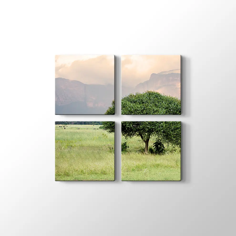 Bebek Akasya Ağacı Kanvas Tablo