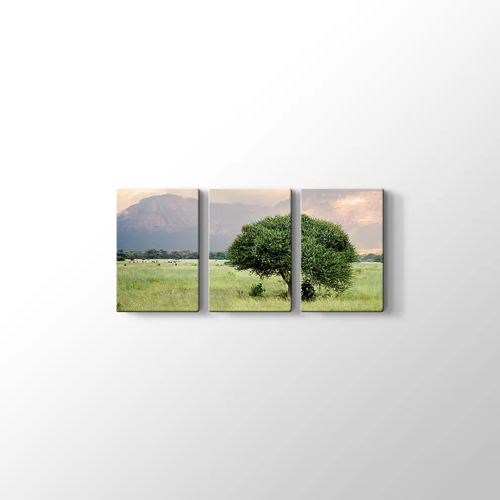 Bebek Akasya Ağacı Kanvas Tablo