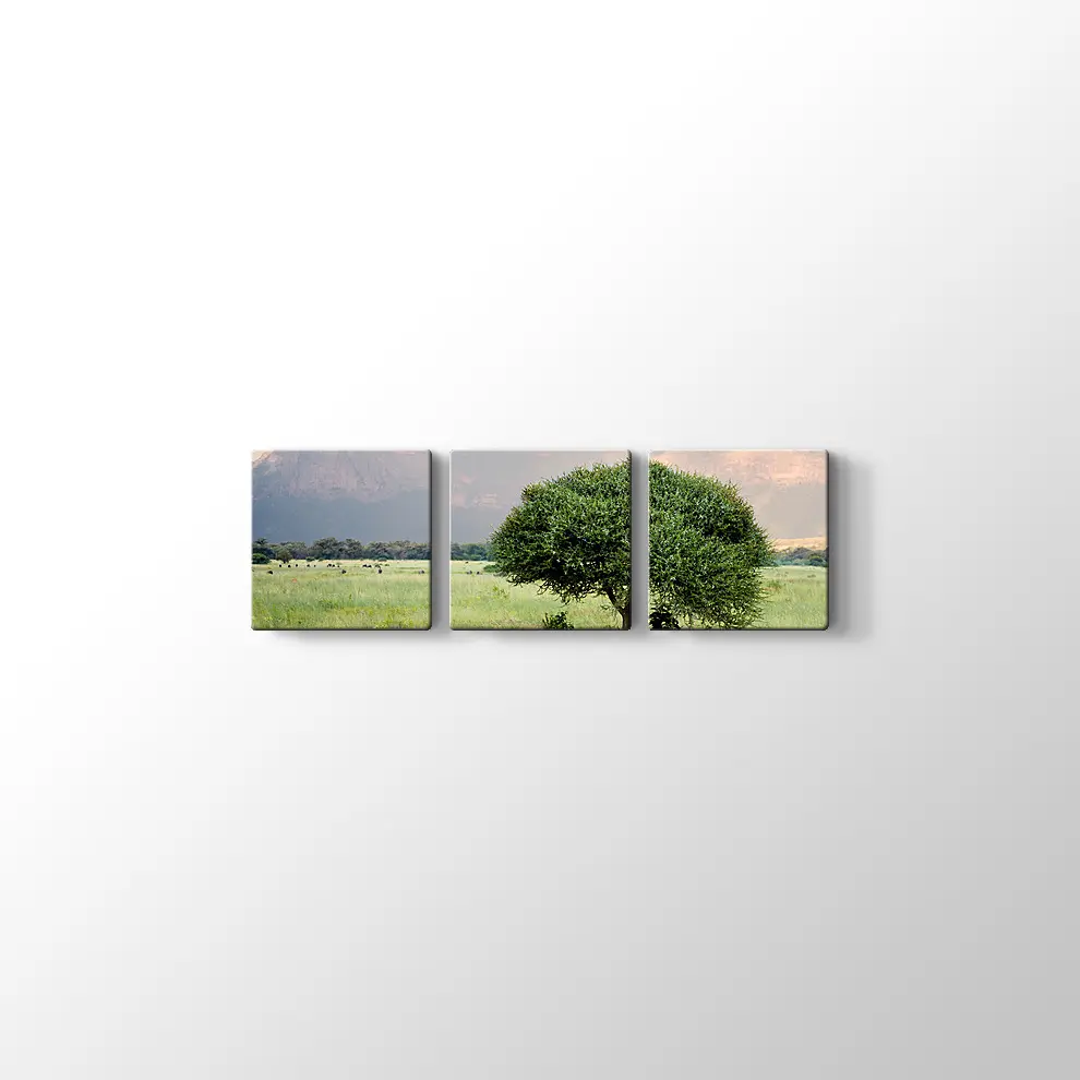 Bebek Akasya Ağacı Kanvas Tablo