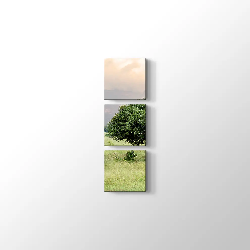 Bebek Akasya Ağacı Kanvas Tablo