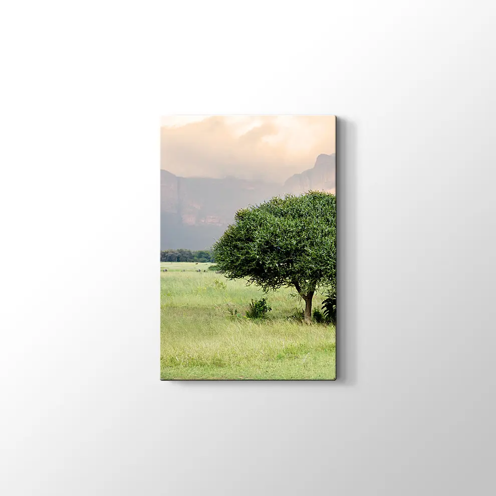 Bebek Akasya Ağacı Kanvas Tablo