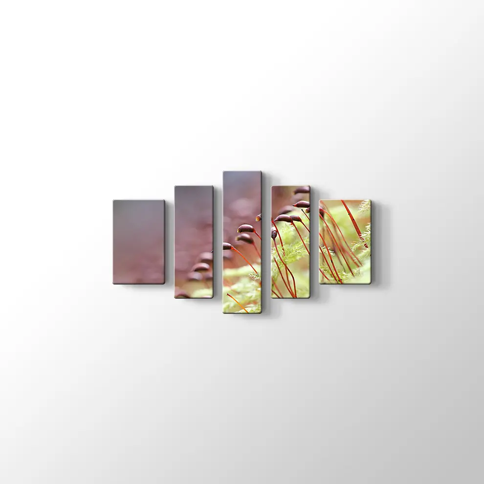 Bitkiler Kanvas Tablo