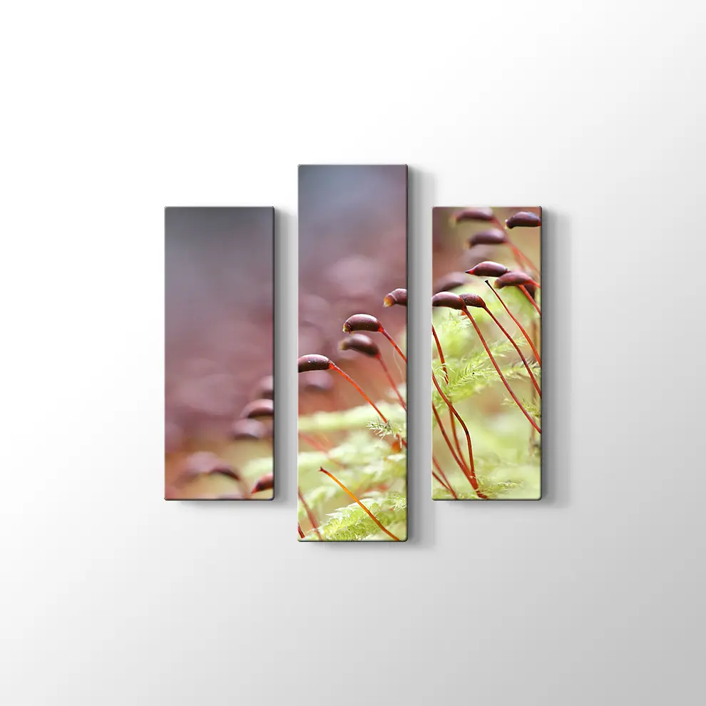 Bitkiler Kanvas Tablo