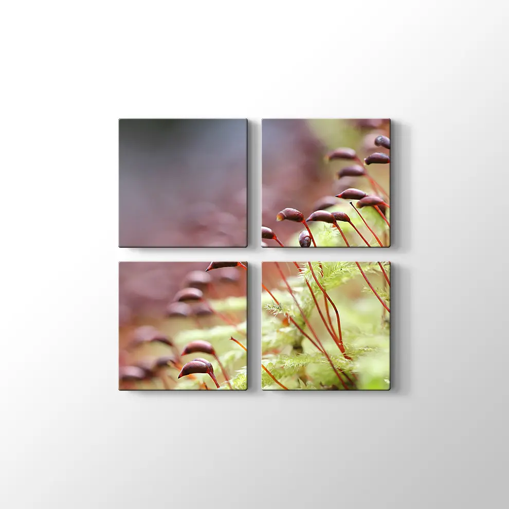 Bitkiler Kanvas Tablo