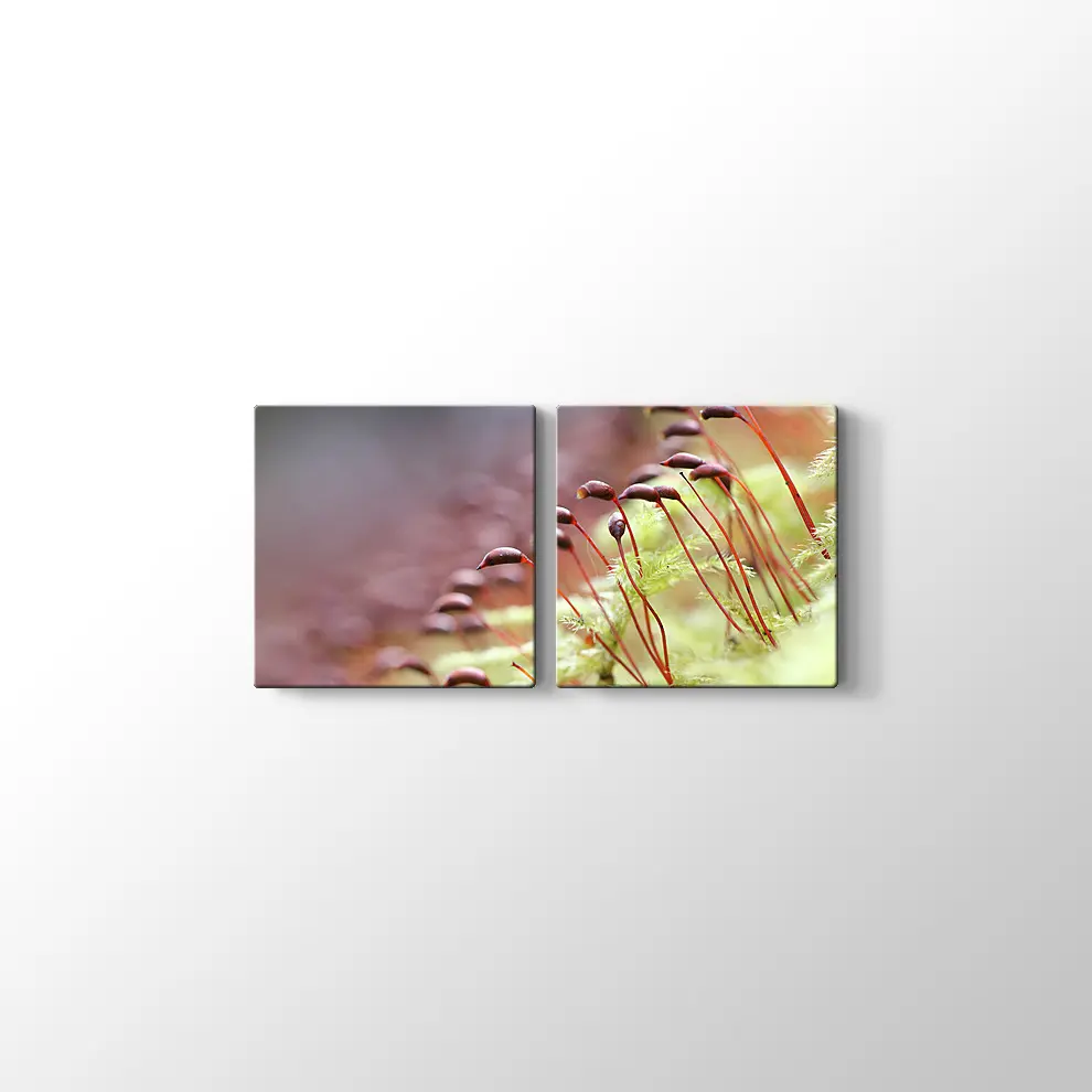 Bitkiler Kanvas Tablo