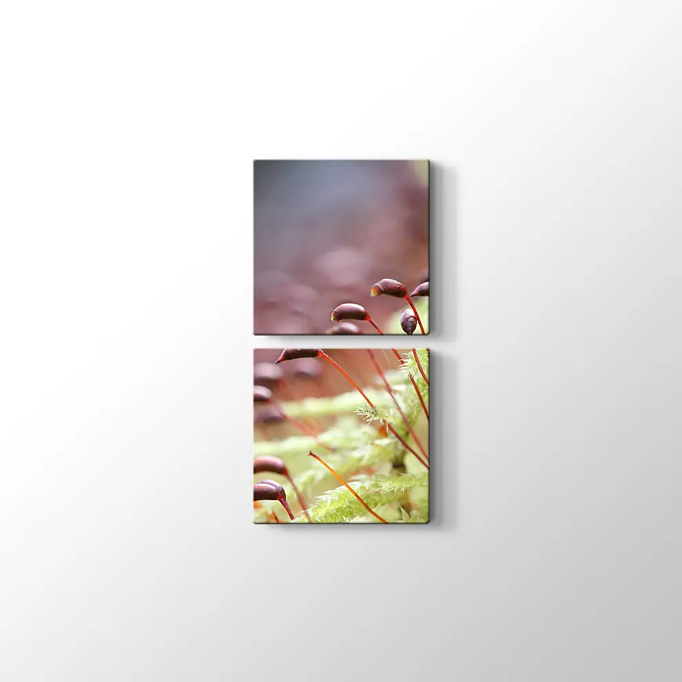 Bitkiler Kanvas Tablo