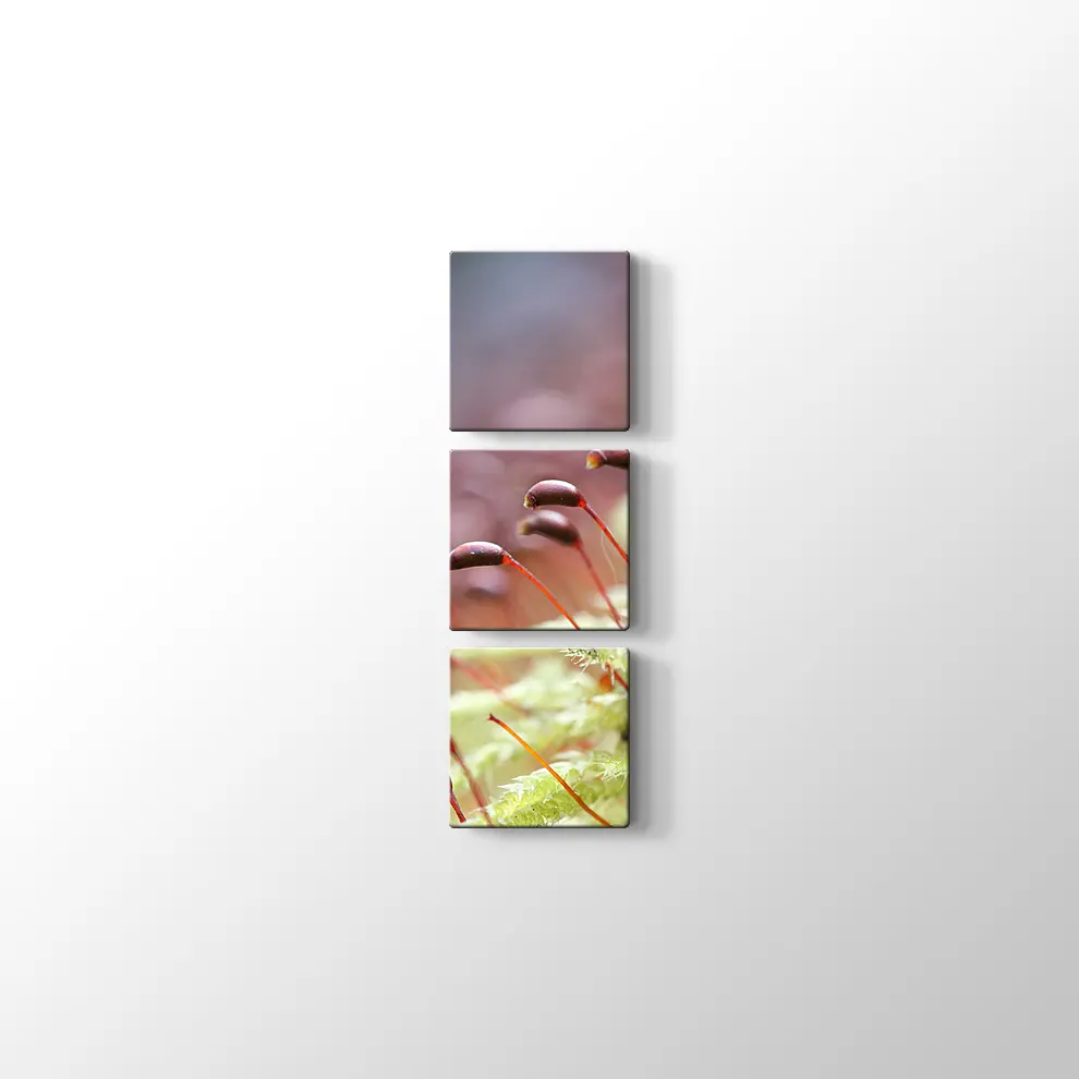 Bitkiler Kanvas Tablo