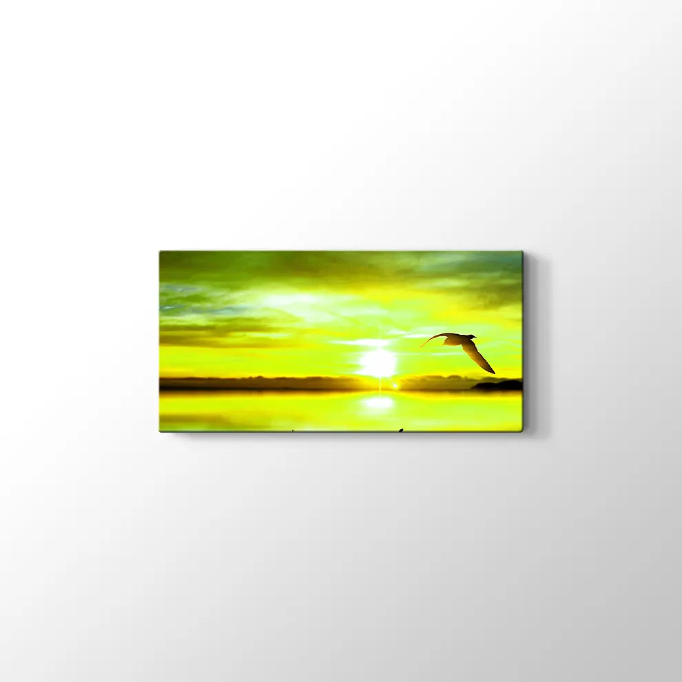 Sandal ve Kuş Kanvas Tablo