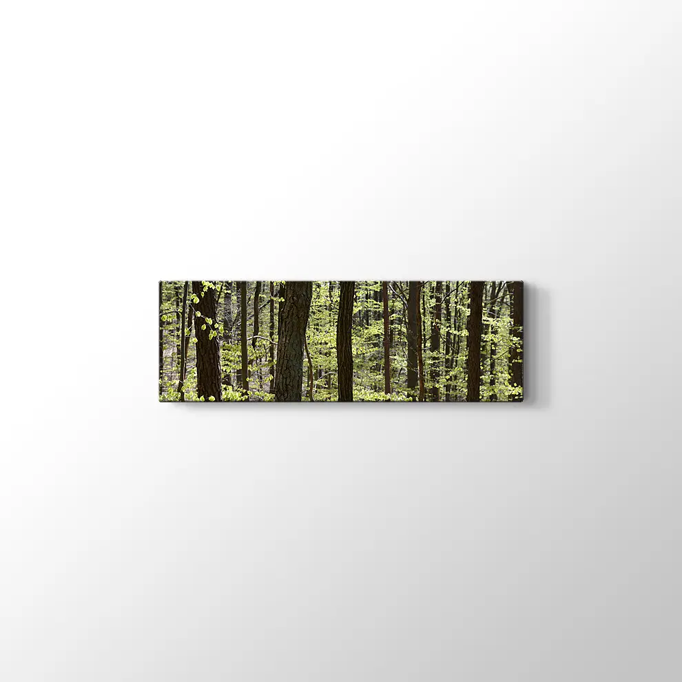 Bahar Ormanı Kanvas Tablo