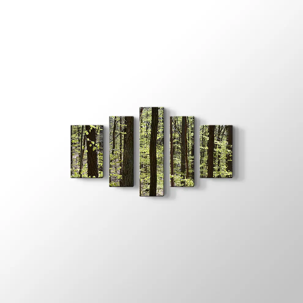 Bahar Ormanı Kanvas Tablo