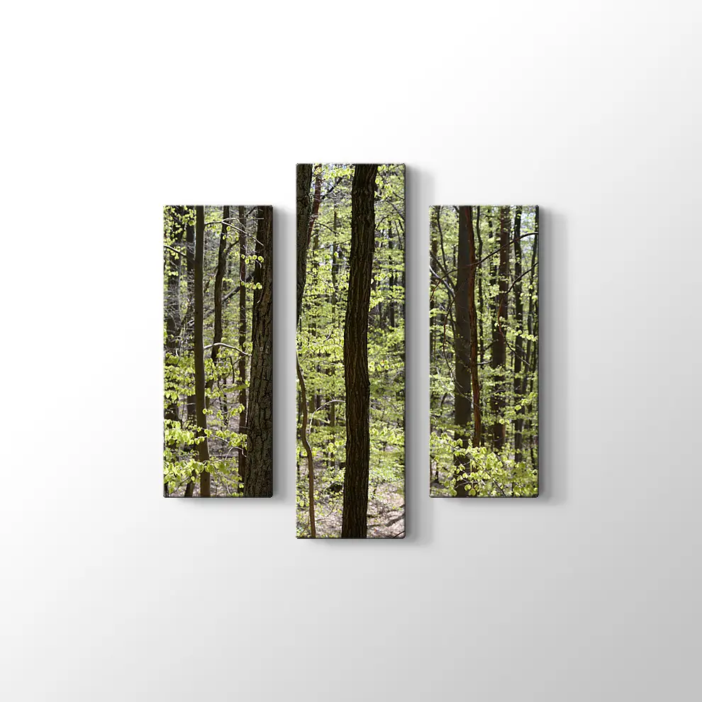 Bahar Ormanı Kanvas Tablo