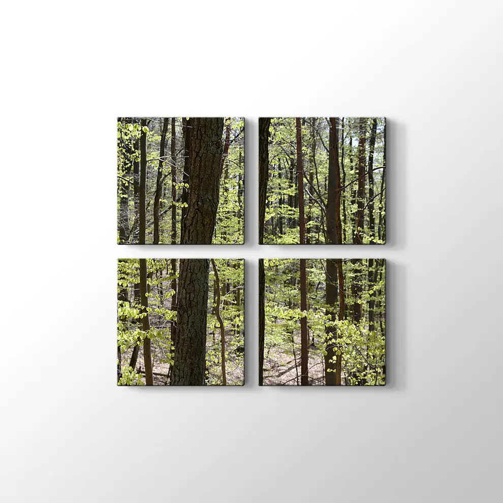 Bahar Ormanı Kanvas Tablo