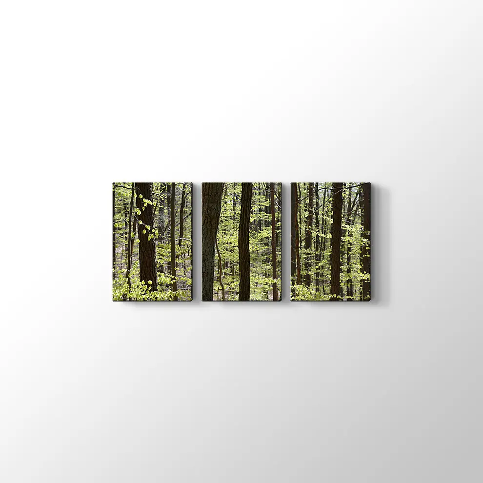 Bahar Ormanı Kanvas Tablo