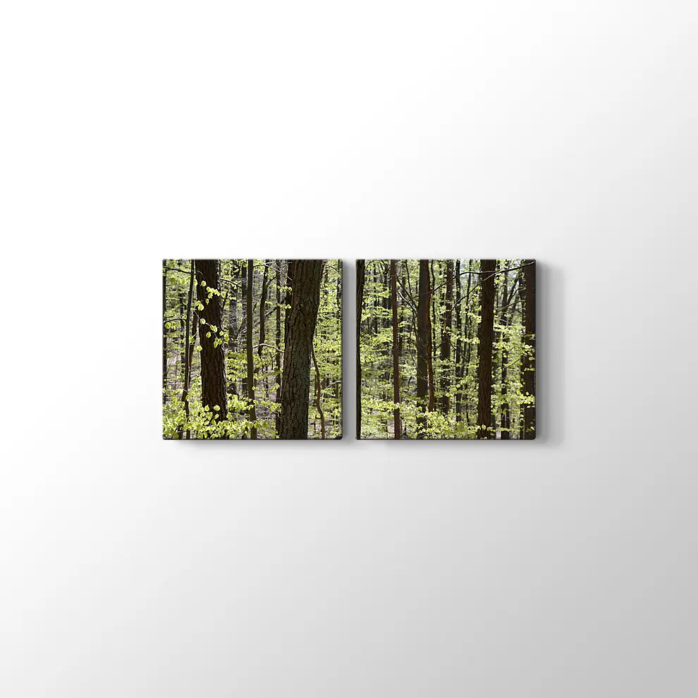 Bahar Ormanı Kanvas Tablo