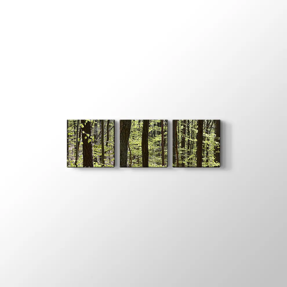 Bahar Ormanı Kanvas Tablo