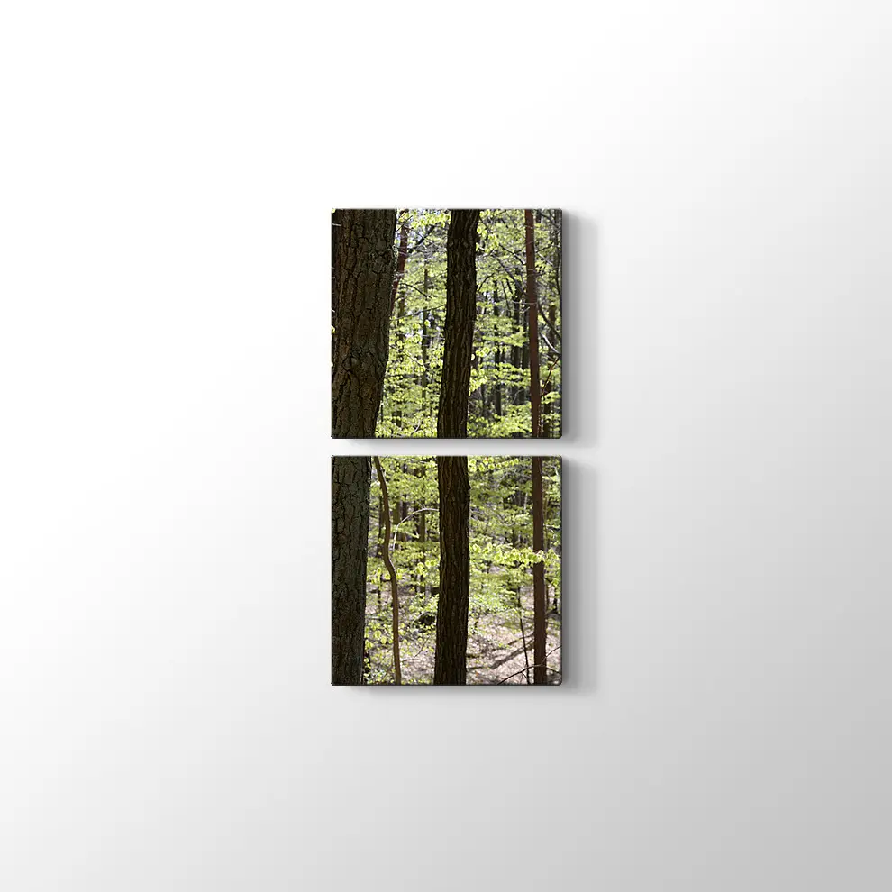 Bahar Ormanı Kanvas Tablo