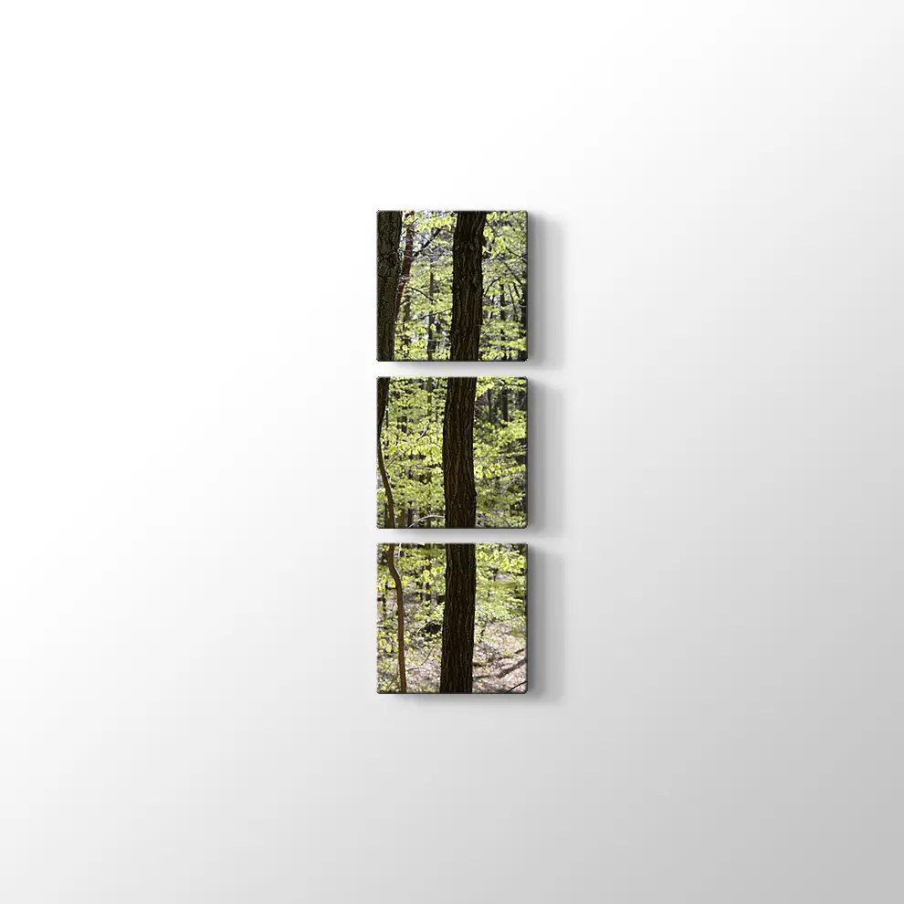 Bahar Ormanı Kanvas Tablo