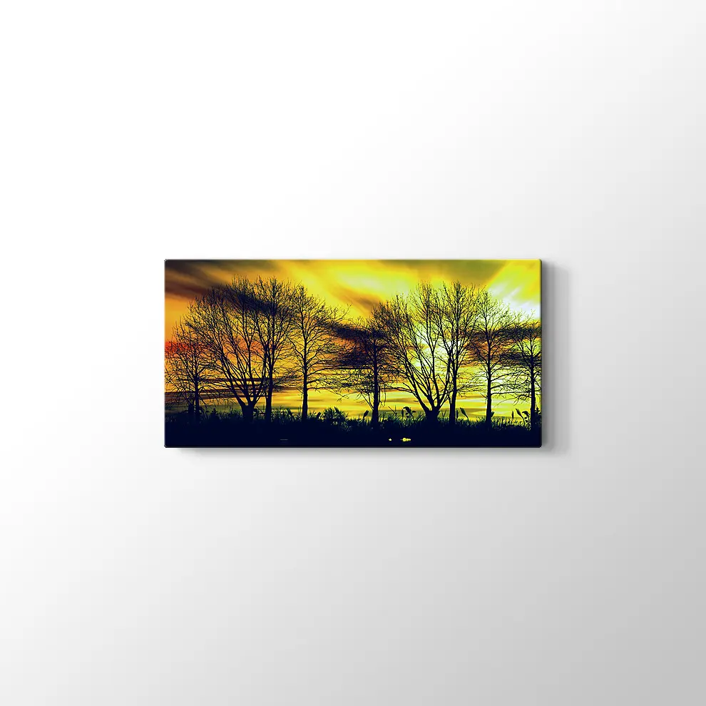 Günbatımında Kuru Ağaçlar Kanvas Tablo
