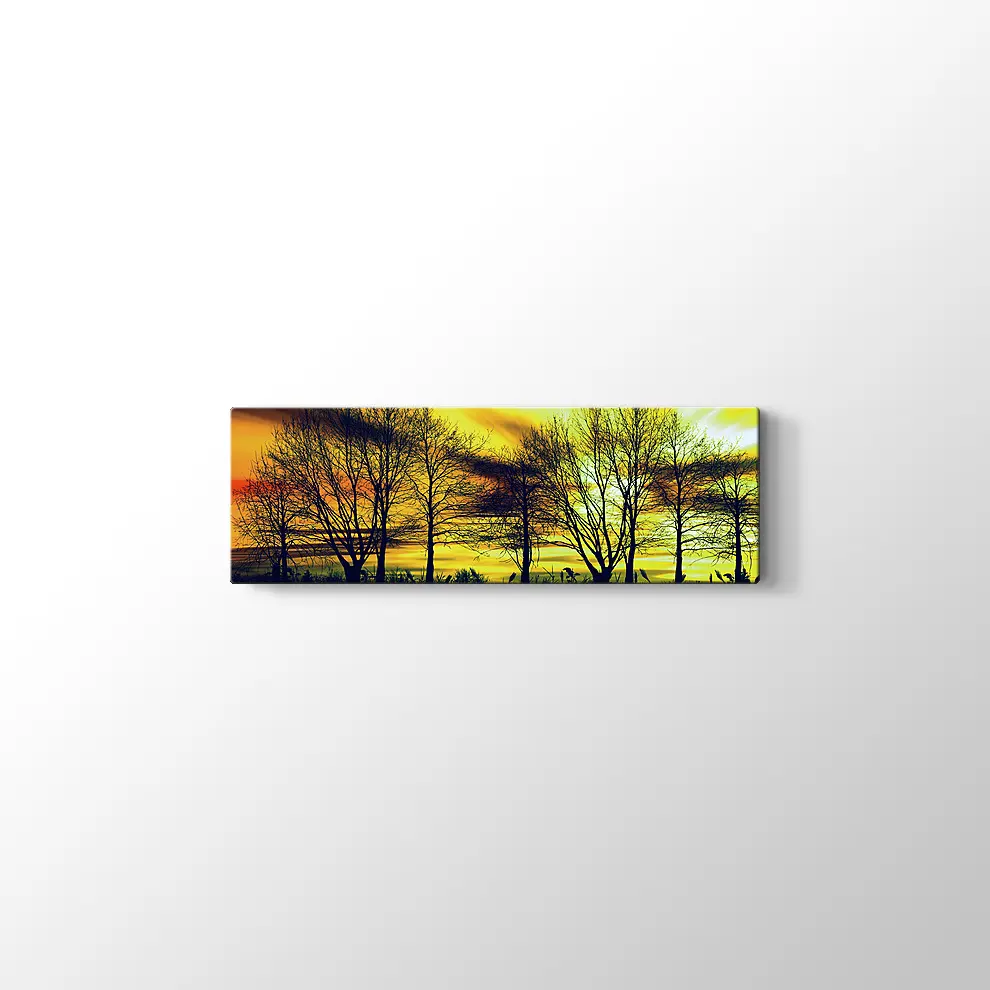 Günbatımında Kuru Ağaçlar Kanvas Tablo