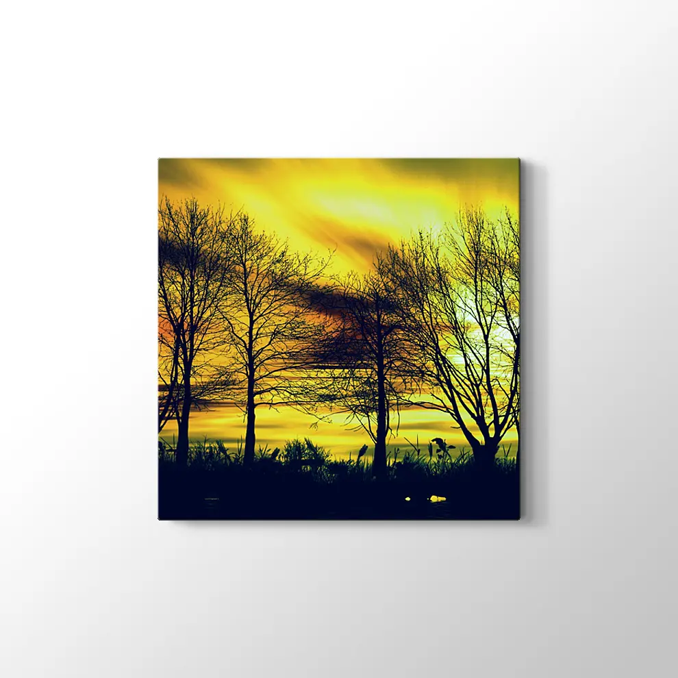 Günbatımında Kuru Ağaçlar Kanvas Tablo