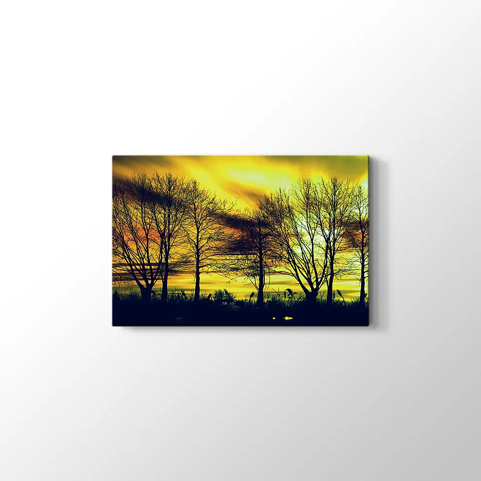 Günbatımında Kuru Ağaçlar Kanvas Tablo