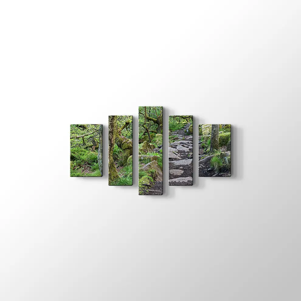 Ormanda Taşlı Yol Kanvas Tablo