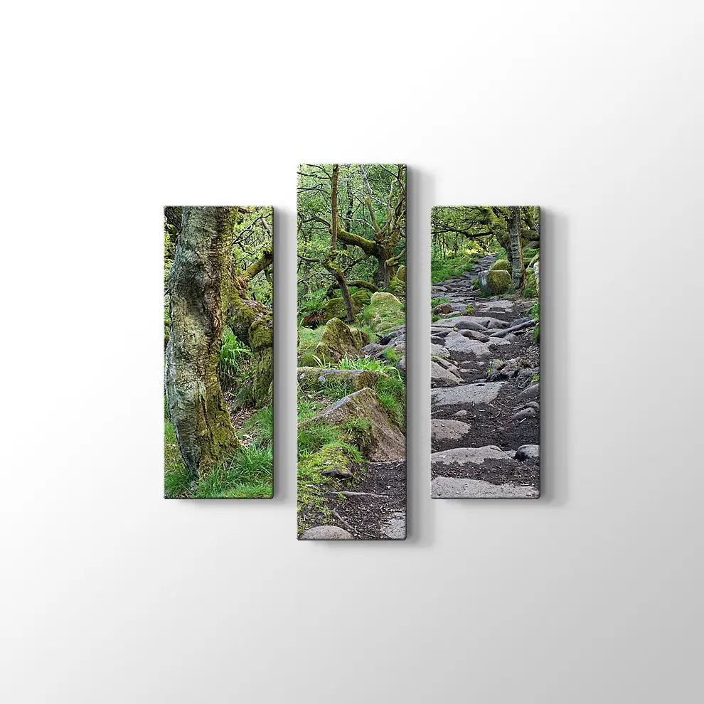 Ormanda Taşlı Yol Kanvas Tablo