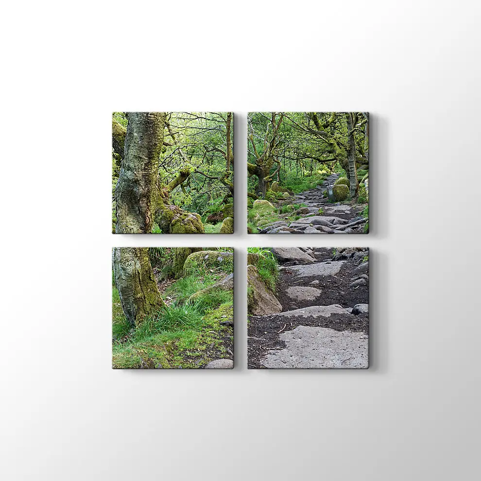 Ormanda Taşlı Yol Kanvas Tablo