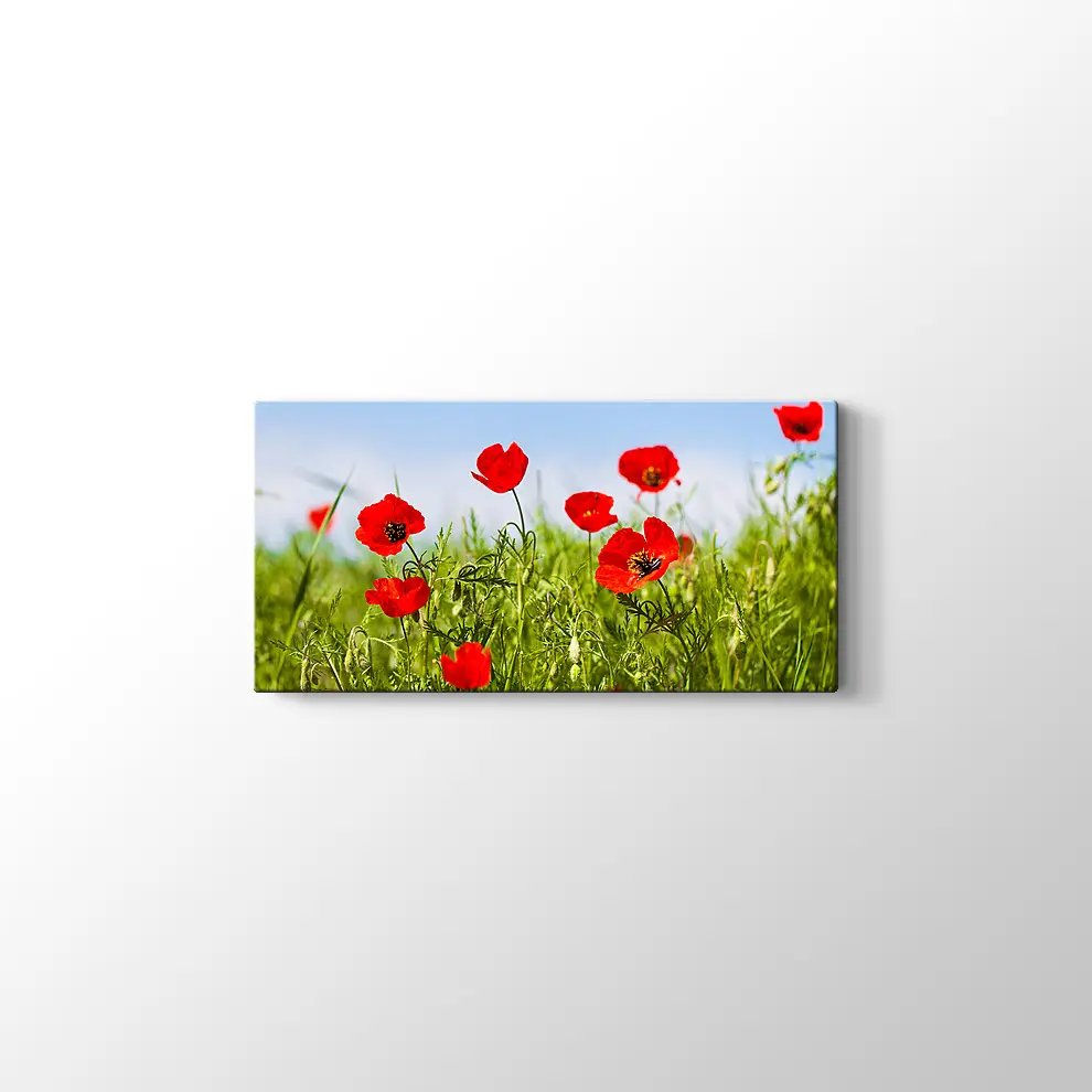 Gelincikler Kanvas Tablo