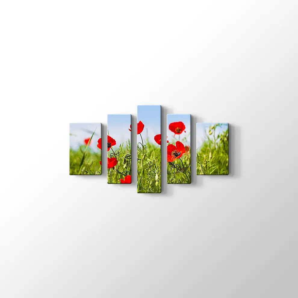 Gelincikler Kanvas Tablo