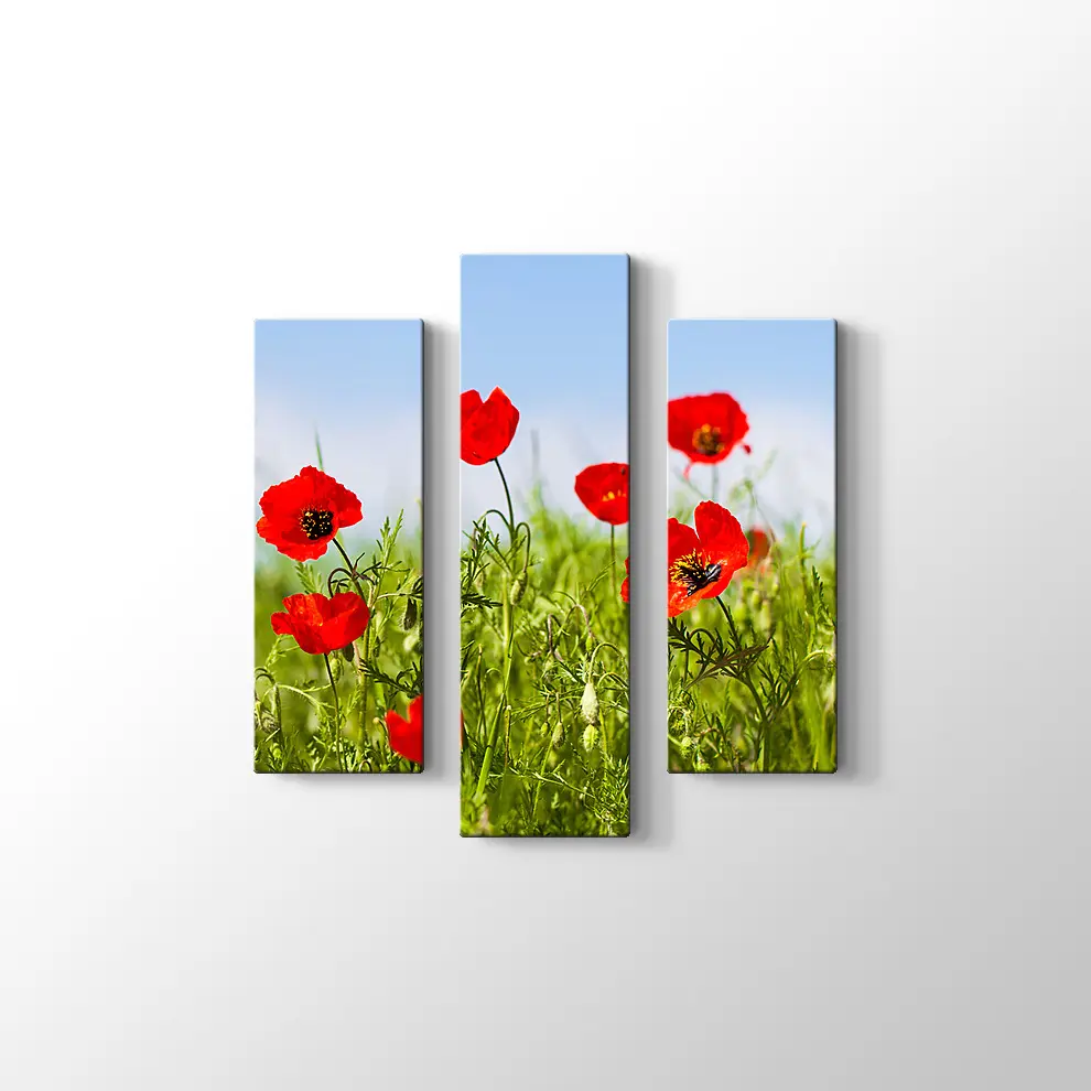 Gelincikler Kanvas Tablo