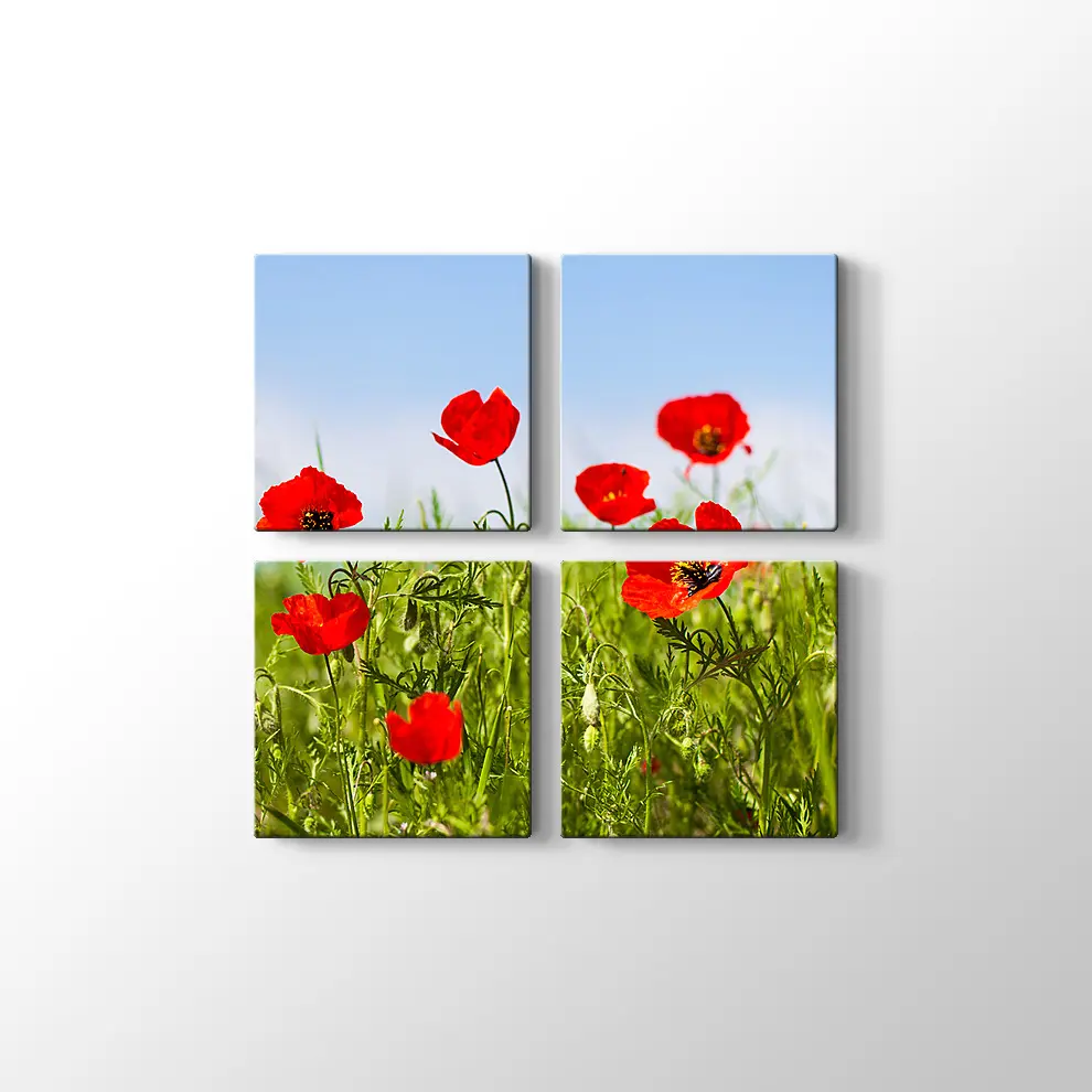 Gelincikler Kanvas Tablo