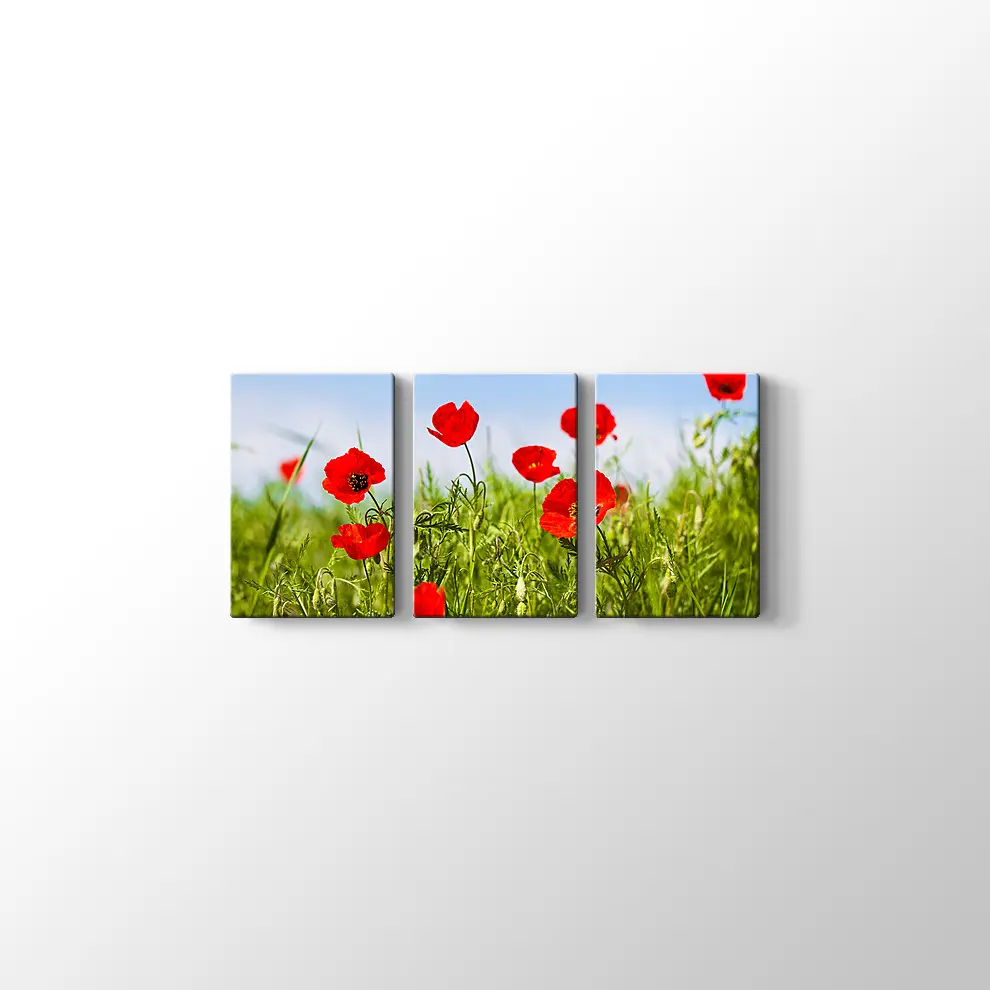 Gelincikler Kanvas Tablo