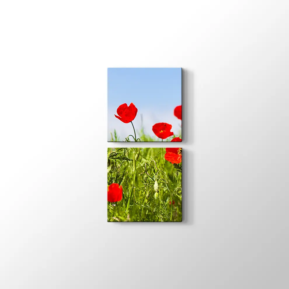 Gelincikler Kanvas Tablo